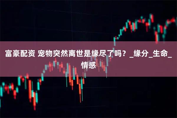富豪配资 宠物突然离世是缘尽了吗？_缘分_生命_情感
