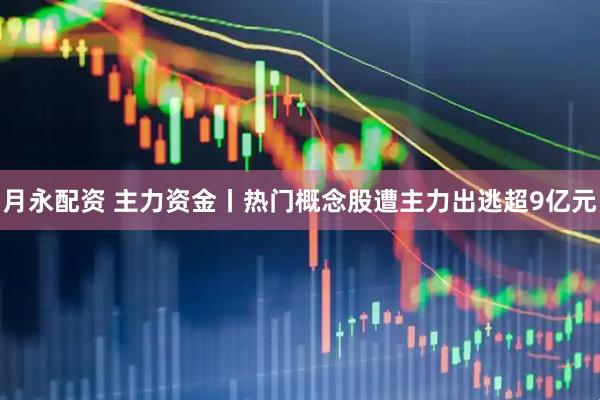 月永配资 主力资金丨热门概念股遭主力出逃超9亿元