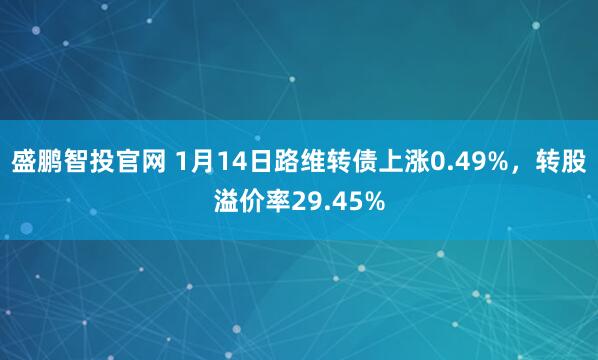 盛鹏智投官网 1月14日路维转债上涨0.49%，转股溢价率29.45%